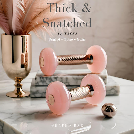 Thick & Snatched 90 Days Gym/Home (Ebook)